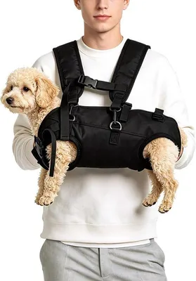 Productafbeelding van Rugzak voor kleine tot middelgrote honden en katten - ademende hondendrager met verstelbare riemen - camping - geschikt voor huisdieren van 4-6 kg