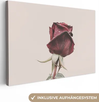Produktbild von MuchoWow® - Leinwandbilder - Blumen - Rot - Rosen - Grün, Wandbild, Wanddeko Bilder Wohnzimmer, 30x20 cm
