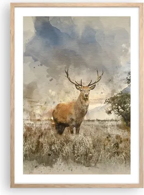Produktbild von Gerahmtes Poster - Rahmen in heller Eiche - rotwild natur - 50x70 cm - Wand Bild - Wanddeko - Wandbilder - Kunstposter - Wandposter - Bilderrahmen - Bilder - Kunstdruck - Wandbild - P2NPA50x70-3465