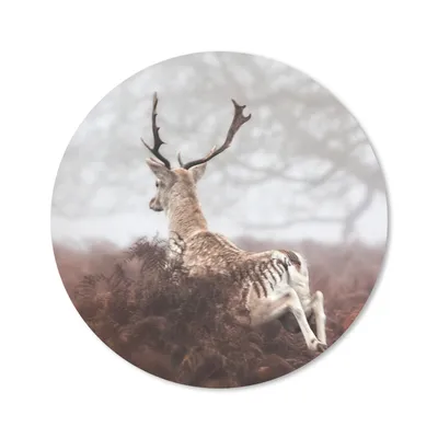 Produktbild von MuchoWow® Mauspad Mousepad Hirsche - Nebel - Pflanzen 20x20 cm - Mousepads - Maus Mat - Pad - Mausunterlage - Schreibtischmatte