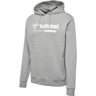 Produktbild von hmlFAV BIG LOGO SWEATHOODIE