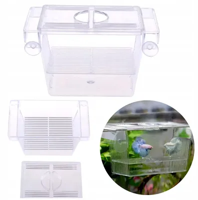 Produktbild von Aquarium Kotnik Kunststoff für Fische Größe S 12,5 x 7 x 7 cm, mit Trennwand, Schwimmkammern und Saugnäpfen für Aufzucht