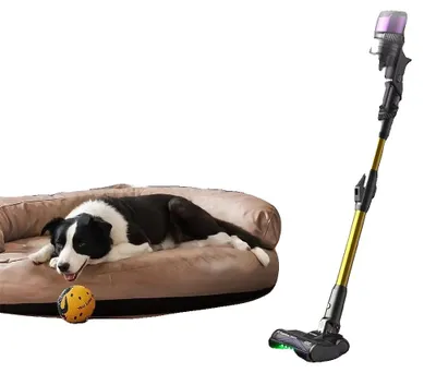 Immagine prodotto di Aspirapolvere portatile, potenza di aspirazione 55 kPa, autonomia di 60 minuti, contenitore della polvere da 1,5 litri, motore da 600 W, sistema di filtrazione a 7 stadi