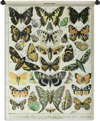 Produktbild von MuchoWow® Wandteppich Wandbehang Tiere - Schmetterling - Gelb 150x200 cm Tapisserie Dekoration Wandtuch - Wandaufhängung - Moderner