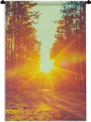 Produktbild von MuchoWow® Wandteppich Wandbehang Sonnenuntergang - Bäume - Wald - Natur 90x135 cm Tapisserie Dekoration Wandtuch - Baumwolle - Wandskulptur