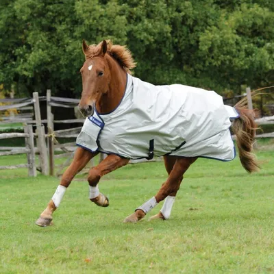 Produktbild von Bucas Outdoordecke 0g Power Turnout Light High Neck Regendecke Silver 145