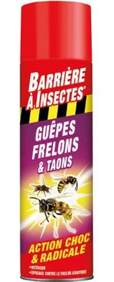 Immagine prodotto di Aerosol contro vespe, calabroni e tafani, 400 ml - Compo France