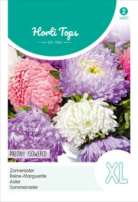 Produktbild von Sommeraster Paeonienblütige Herzogin | Asternsamen von Hortitops