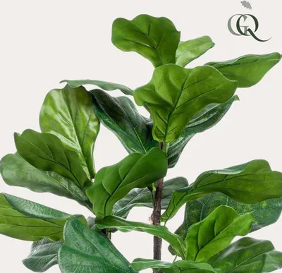 Produktbild von Künstliche Pflanze - Ficus Lyrata - Tabakpflanze