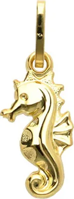 Produktbild von Seepferdchen Kettenanhänger aus Gold 333 (8 kt)