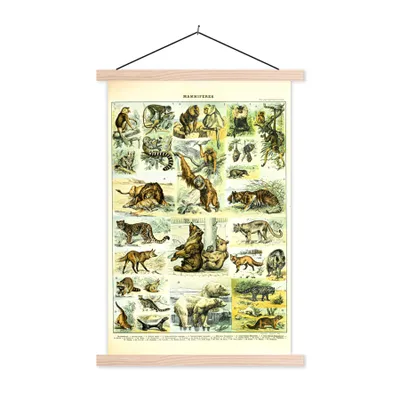 Produktbild von MuchoWow® Textilposter Tiere - Affe - Bären 40x60 cm mit holzfarbenen Rahmen - Poster