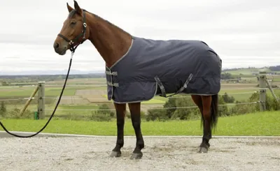 Obrázek produktu pro Zimní koberec pro koně RugBe IceProtect 145 cm x 195 cm 3222150