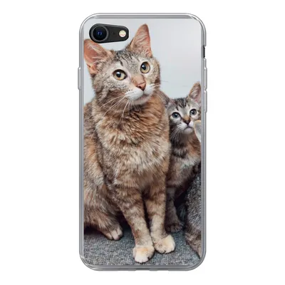 Produktbild von MuchoWow® Handyhülle Schutzhülle Hülle für iPhone 8 Katze - Kätzchen - Fell Silikon Softcase Handy Hülle - Schutzhaube