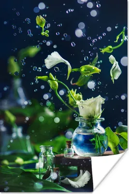 Produktbild von MuchoWow® Poster Tropfen - Rosen - Blumen 120x180 cm - Kunstposter