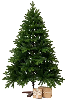 Image de Sapin de Noël VIVANNO en polyéthylène NORDMANN 180, forme arrondie, vert naturel - 127 x 180 cm