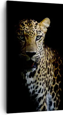 Produktbild von Bild auf Leinwand - Leinwandbild - Einteilig - Schattig Leopard Panther - 45x80cm - Wand Bild - Wanddeko - Wandbilder - Leinwanddruck - Bilder - Wanddekoration - Leinwand bilder - PA45x80-4585