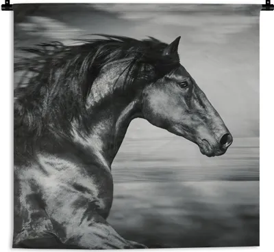 Produktbild von MuchoWow® Wandteppich Wandbehang Pferd - Tiere - Schwarz - Weiß 60x60 cm Tapisserie Dekoration Wandtuch - Dekorationen - Wand Decke