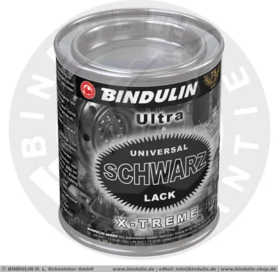Produktbild von 125 ml Universalschwarzlack Farbe: schwarz Schwarzlack matt-glänzend inkl. Pinsel