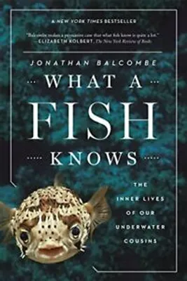 Produktbild von What a Fish Knows