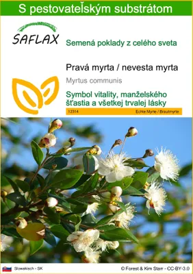 Obrázok produktu pre SAFLAX - Pravá myrta / nevesta myrta - Myrtus communis - 30 Semená - S pestovateľským substrátom bez klíčkov