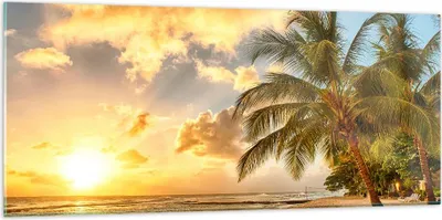 Produktbild von Bilder auf glas - Strand Meer Palme - 120x50cm - Glasbilder - Wandbilder - Kunstdruck - zum Aufhängen bereit - Wanddekoration aus Glas - Glas Bilder - Wandbild auf Glas - Einteilig - GAB120x50-3606
