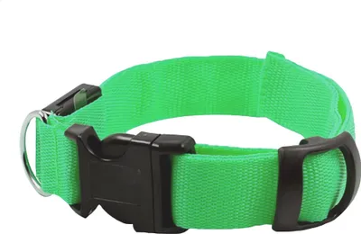 Image de Verk 19323 Collier lumineux LED pour chat et chien 59 cm vert