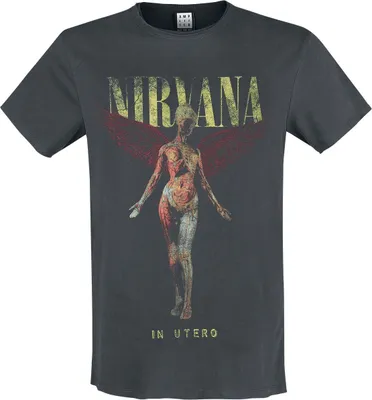 Produktbild von Nirvana T-Shirt Herren Amplified Collection - In Utero charcoal 3XL