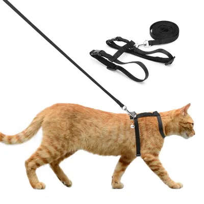 Image de Harnais pour chat - Harnais réglable avec laisse - Laisse 120 cm - Tour de poitrine 26-42 cm - Nylon