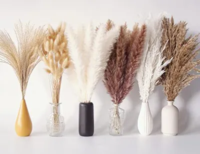 Productafbeelding van Pampasgras Boeket - Gedroogde bloemen - Boho Decoratie - Natuurlijk en Pluizig - 35-43 cm - Beige Bruin Wit
