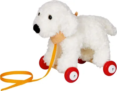 Immagine prodotto di Coppenrath Verlag 17525 Goldendoodle Daisy su Hol