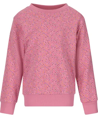 Produktbild von ZIGZAG Sweatshirt Tilby im atmungsaktivem Basic-Design 4391 Begonia Pink 5