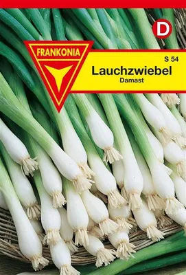 Produktbild von Lauchzwiebel Damast