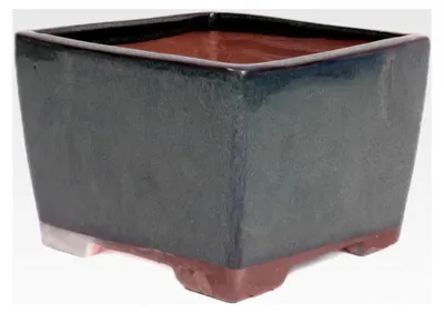 Produktbild von Bonsai Kaskadenschale quadratisch 18 x 18 x 12,5 cm grün