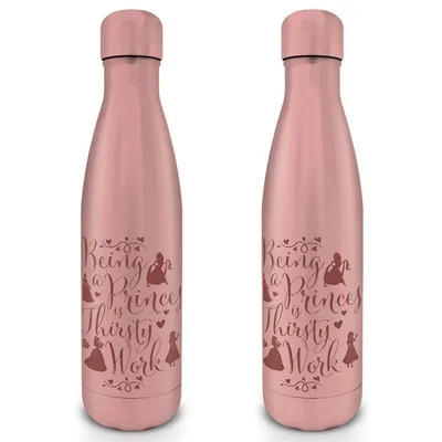 Produktbild von Disney Princess (Thirsty Work) Metal Drinks Bottle