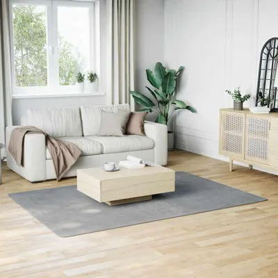 Image de vidaXL Tapis lavable Moelleux à poils courts 160x230 Antidérapant Gris