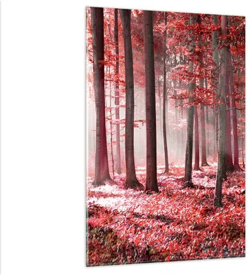 Produktbild von Bilder auf glas - Einteilig - Wald Rot Bäume - 80x120cm - Glasbilder - Wandbilder - Bilder - zum Aufhängen bereit - Wanddekoration aus Glas - Glas Bilder - Wandbild auf Glas - GPA80x120-4944