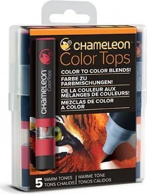 Image de Lot de 5 hauts colorés - tons chauds