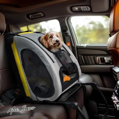 Zdjęcie produktu dla Składana transporówka dla psów Famanu Hunde-Buggy z siatkowymi drzwiczkami - skrzynka transportowa do montażu na tylnej kanapie - 4 koła - regulowany uchwyt