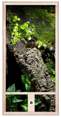 Produktbild von Repiterra® Hochterrarium Chamäleon Holzterrarium OSB Holz Terrarien 60x120x60cm, KI-generiertes Bild