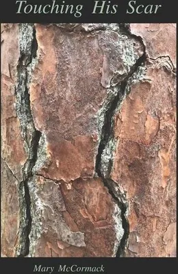 Produktbild von Touching His Scar