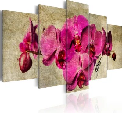 Produktbild von Leinwandbilder Blumen 200x100 cm Vlies Leinwandbild 5 tlg Kunstdruck modern Wandbilder XXL Wanddekoration Design Wand Bild - Orchidee rosa 020110-53