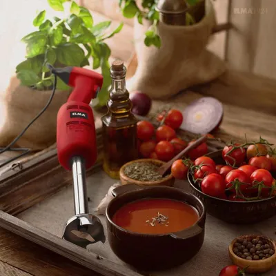Immagine prodotto di Frullatore a immersione professionale, 220 W
