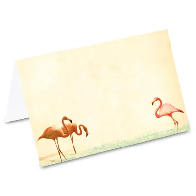 Produktbild von PRICARO Tischkarten "Flamingos", 50 Stück