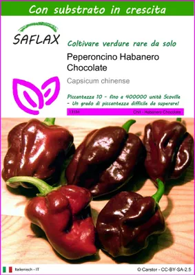 Immagine prodotto di SAFLAX - Peperoncino Habanero Chocolate - 10 semi - Con substrato - Capsicum