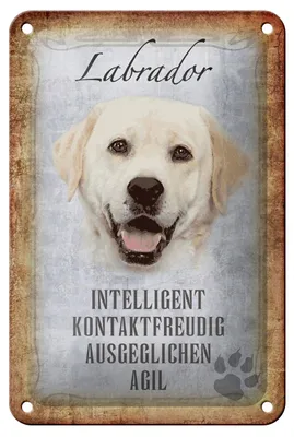 Produktbild von Blechschild Spruch 12x18cm Labrador Hund Schild