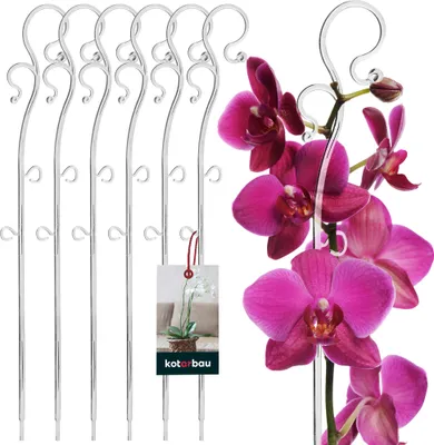 Produktbild von KOTARBAU® 6er Set Pflanzenstütze Transparent PVC 39 cm Blumenstütze Rankhilfe Zimmerpflanzen Blumenstütze Garten Orchideenstab Stützstab Pflanzen dekorative Pflanzenhalter Zimmerpflanzen Rankstäbe