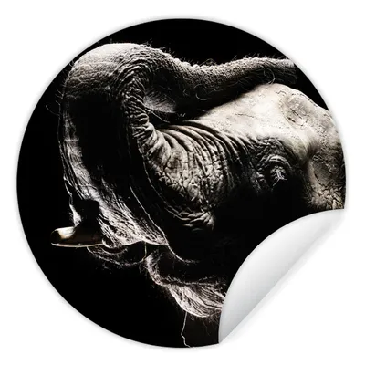 Produktbild von MuchoWow® Runde Wandtattoo - Wandsticker Tapete Aufkleber Elefant - Schwarz - Tiere - Porträt Ø 50 cm Selbstklebend und Repositionierbar - Wandaufkleber - Kreis - Wand Kreis - Wand Bild - Foto Tapete - Selbstklebende - Wohnzimmerdekoration - Wand Dekoration - Kinderzimmer