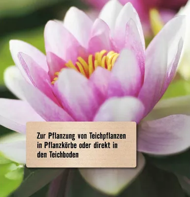 Produktbild von Teicherde FloraSelf 20 L
