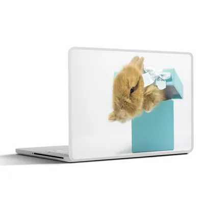 Produktbild von MuchoWow® Laptop Aufkleber Sticker Cover Kaninchen - Pastell - Blau 40x30 cm - Laptop Dekoration - Selbstklebend