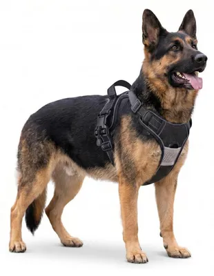 Image de Harnais pour chien anti-traction, réglable, respirant, avec bandes réfléchissantes, couleur noire, taille XL